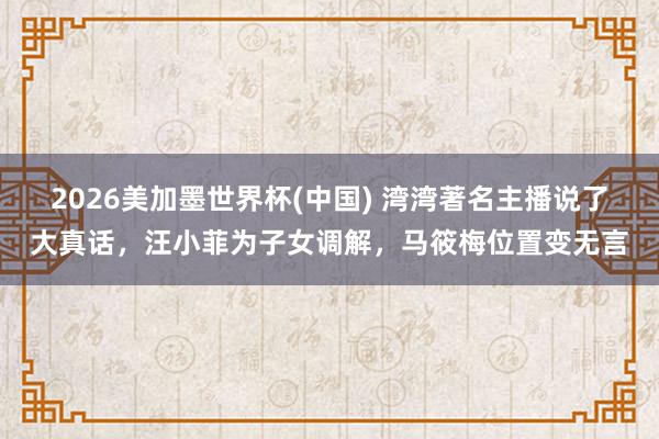 2026美加墨世界杯(中國) 灣灣著名主播說了大真話,汪小菲為子女調解,馬筱梅位置變無言
