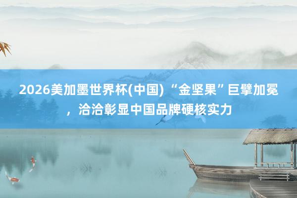 2026美加墨世界杯(中國) “金堅果”巨擘加冕，洽洽彰顯中國品牌硬核實力
