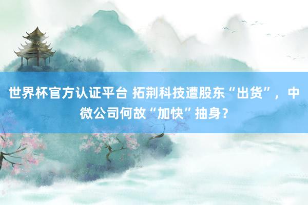世界杯官方認證平臺 拓荊科技遭股東“出貨”,中微公司何故“加快”抽身?