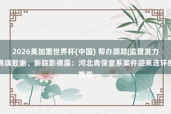 2026美加墨世界杯(中國) 幫辦跟蹤|監(jiān)管發(fā)力、錦旗致謝、新蹤影裸露:河北青保堂系案件迎來連環(huán)推崇