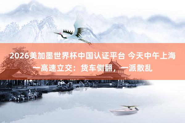 2026美加墨世界杯中國認證平臺 今天中午上海一高速立交:貨車側翻,一派散亂