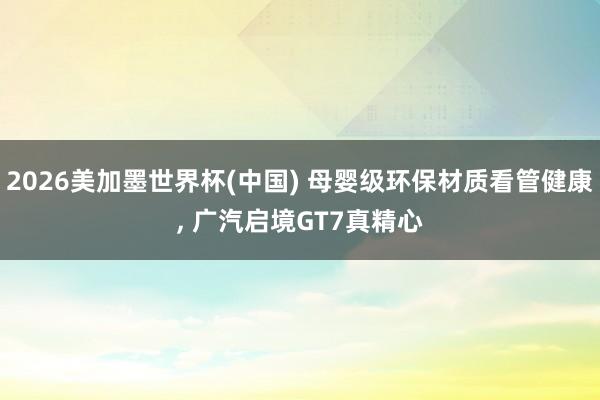 2026美加墨世界杯(中國) 母嬰級環保材質看管健康, 廣汽啟境GT7真精心